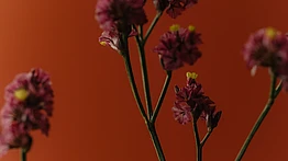 Prompt Artist (Creative / Design)